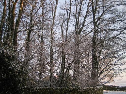 The back door at Cornhills Farm.